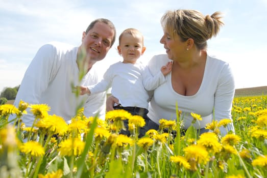 Family with toddler in dandelion field