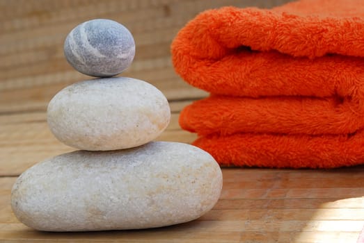 Wellness 20