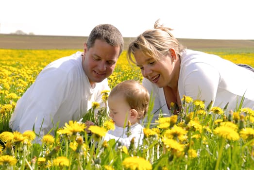 Family with toddler in dandelion field