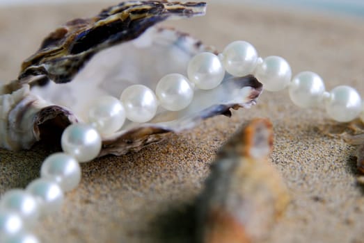 Pearl Necklace 06