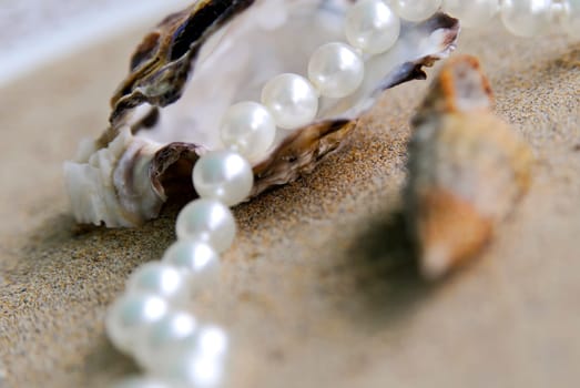 Pearl Necklace 08