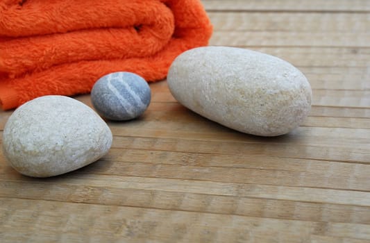 Wellness 09