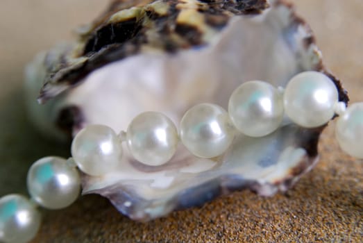 Pearl Necklace 15