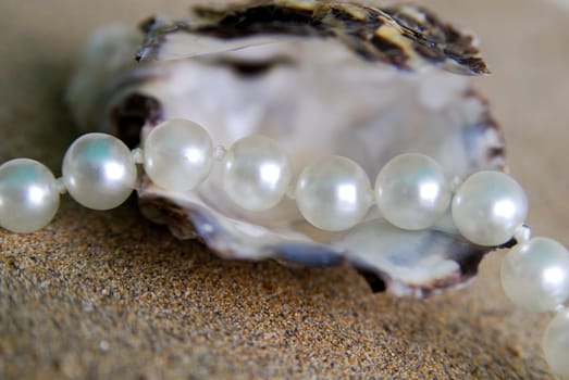 Pearl Necklace 14