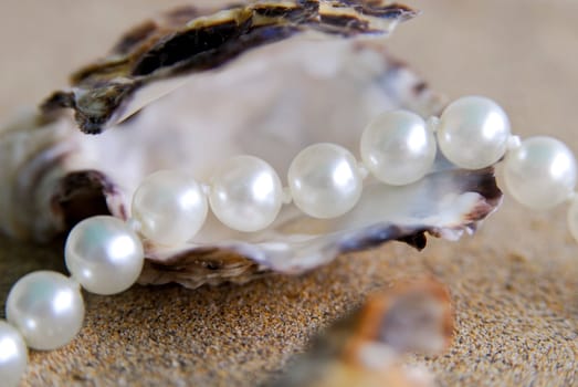 Pearl Necklace 07