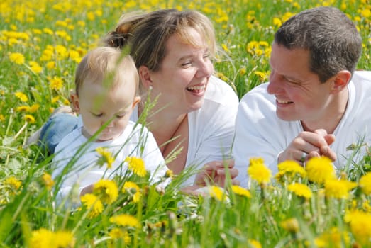 Family with toddler in dandelion field