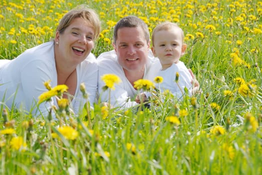 Family with toddler in dandelion field