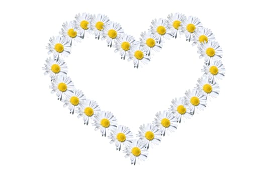 heart or (heart man) or (heart woman)