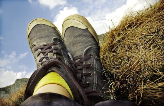 Retro styled sneakers in grass