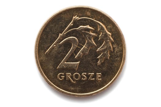 Polish coin