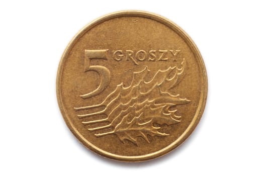 Polish coin
