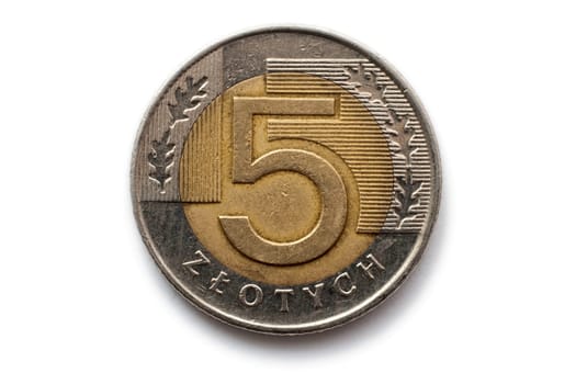 Polish coin