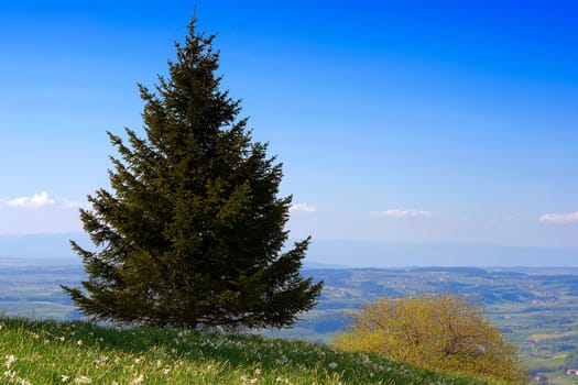 Above the Fribourgerland
