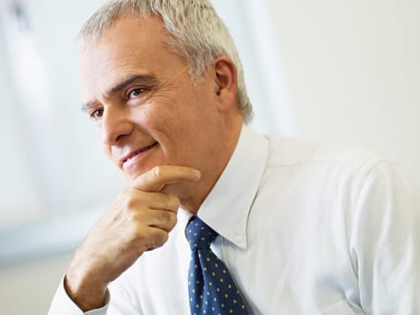 mature businessman in office