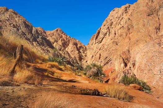 The Red Stone Desert