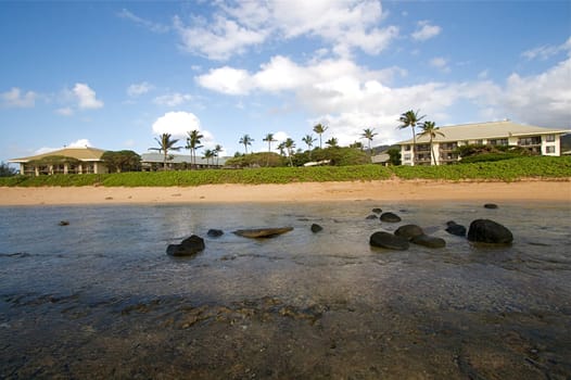 Hawaiian Beach