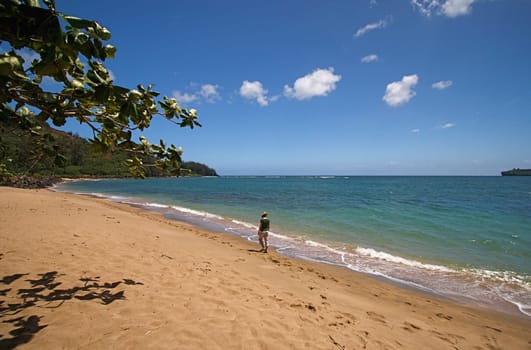 Hawaiian Beach