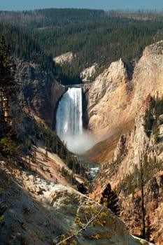 Grand Canyon Of Yellowstone