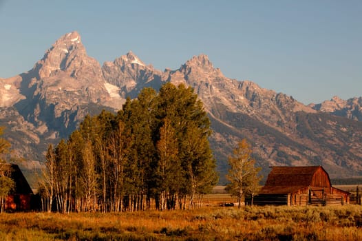 Grand Teton Splendor