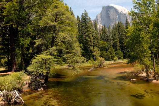 Half Dome Glory