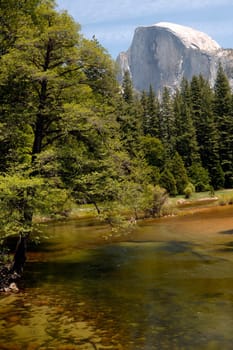 Half Dome View