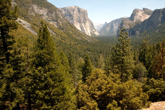 Majestic Yosemite