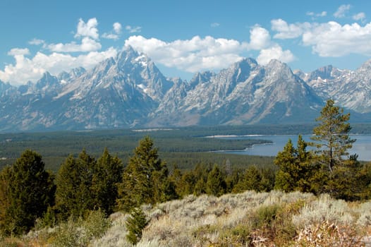 Tranquility Of Grand Teton