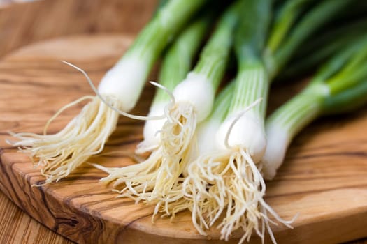 Green onion,close-up