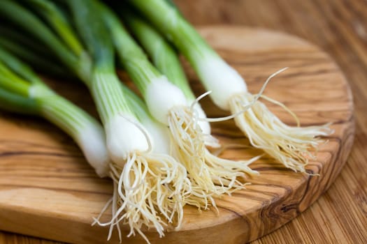 Green onion,close-up