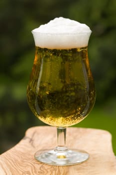 Glass of Beer,Crystal Wheat