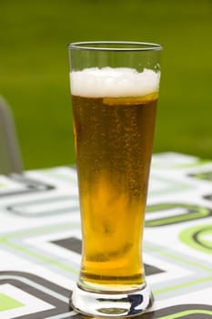 Glass of Beer,Crystal Wheat