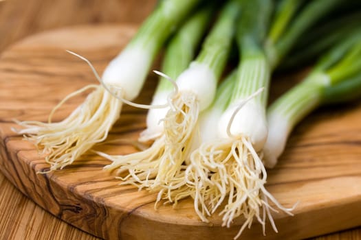 Green onion,close-up