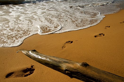 Hawaiian Beach