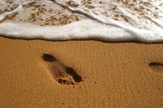 Hawaiian Beach