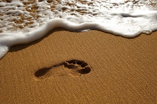 Hawaiian Beach