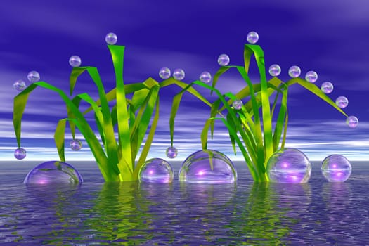Bubbles