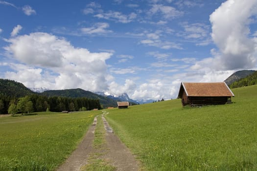 Trail