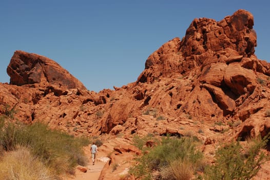Valle of Fire State Park USA