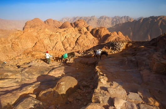 Transport of goods to the Djebel Moses