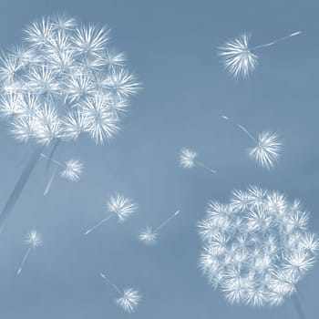 Dandelions in the wind