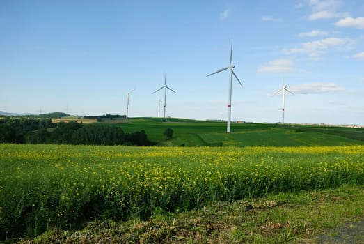 Grass Energy 5