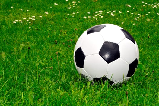 Soccer Meadow World Cup