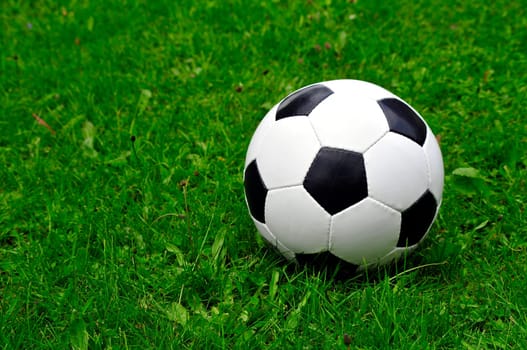 Soccer Meadow World Cup