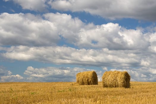 Agriculture - Haystack