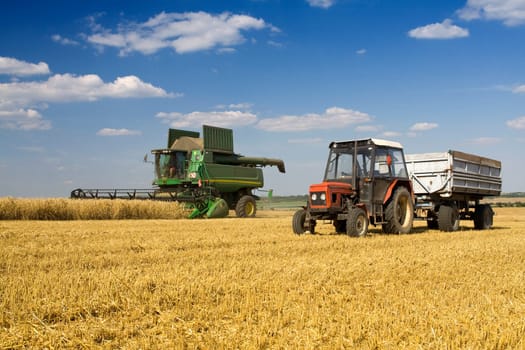 Agriculture