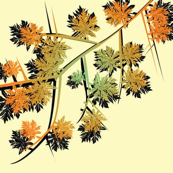 Autumn foliage