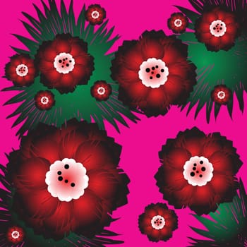 blossom flowers