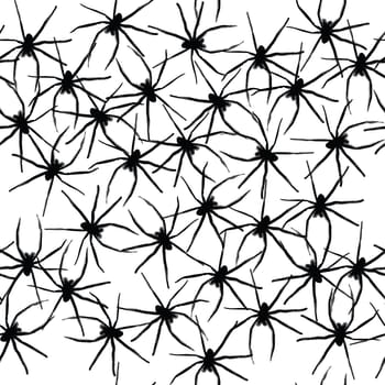 baby spiders