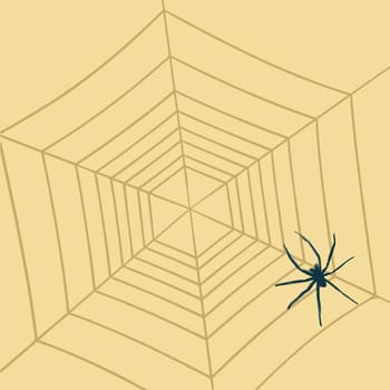 Spider