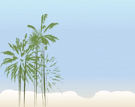 palm trees